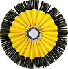 Granwasher yellow